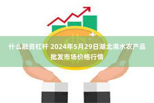 什么融资杠杆 2024年5月29日湖北浠水农产品批发市场价格行情