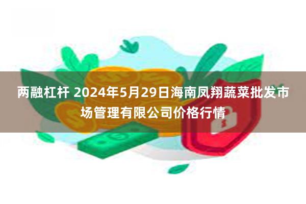 两融杠杆 2024年5月29日海南凤翔蔬菜批发市场管理有限公司价格行情