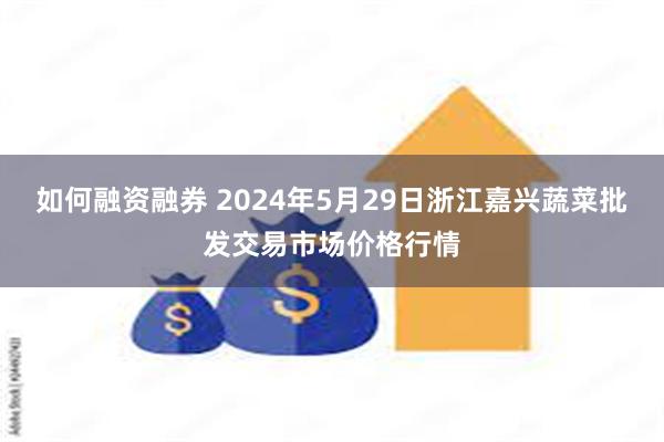 如何融资融券 2024年5月29日浙江嘉兴蔬菜批发交易市场价格行情