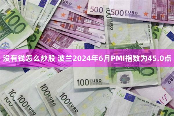 没有钱怎么炒股 波兰2024年6月PMI指数为45.0点