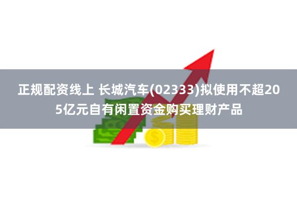 正规配资线上 长城汽车(02333)拟使用不超205亿元自有闲置资金购买理财产品