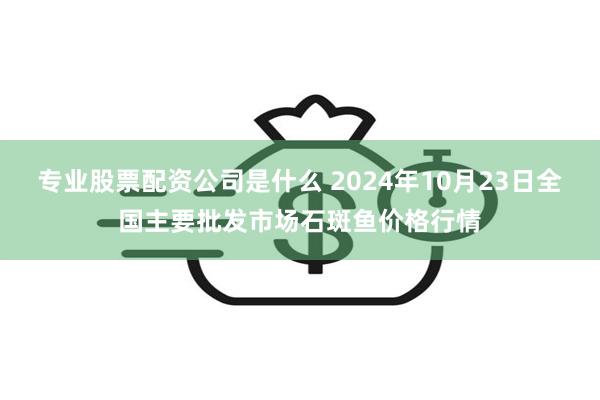 专业股票配资公司是什么 2024年10月23日全国主要批发市场石斑鱼价格行情