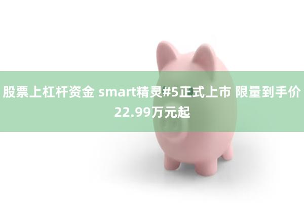 股票上杠杆资金 smart精灵#5正式上市 限量到手价22.99万元起