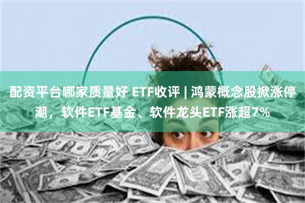 配资平台哪家质量好 ETF收评 | 鸿蒙概念股掀涨停潮，软件ETF基金、软件龙头ETF涨超7%