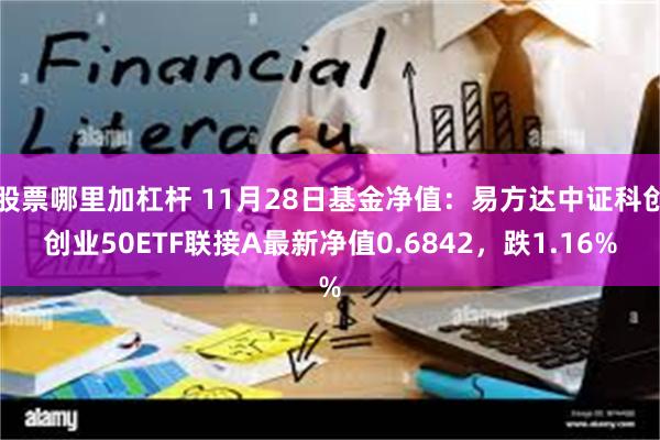 股票哪里加杠杆 11月28日基金净值：易方达中证科创创业50ETF联接A最新净值0.6842，跌1.16%