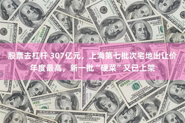 股票去杠杆 307亿元，上海第七批次宅地出让价年度最高，新一批“硬菜”又已上架