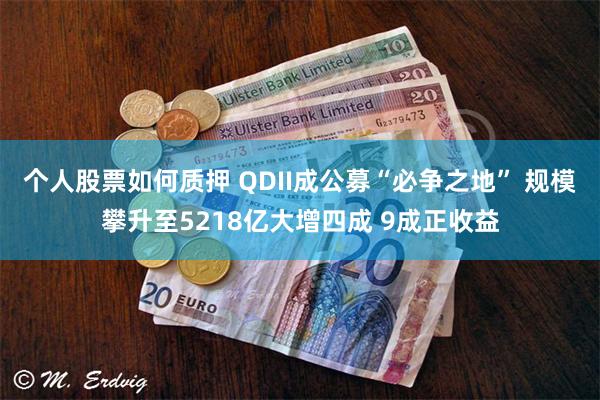 个人股票如何质押 QDII成公募“必争之地” 规模攀升至5218亿大增四成 9成正收益