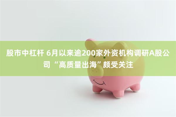 股市中杠杆 6月以来逾200家外资机构调研A股公司 “高质量出海”颇受关注