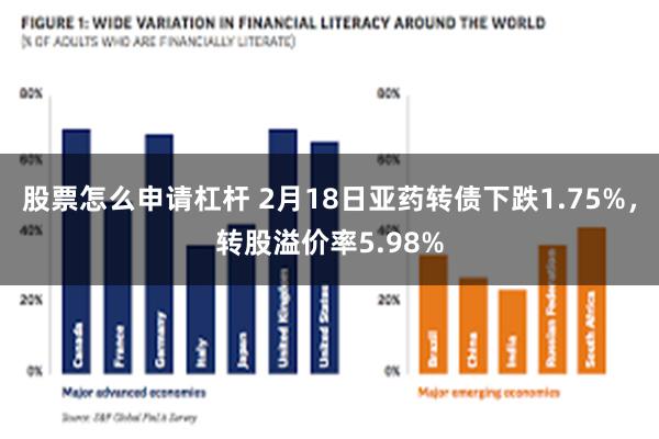 股票怎么申请杠杆 2月18日亚药转债下跌1.75%，转股溢价率5.98%